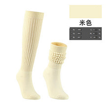 Load image into Gallery viewer, Hot selling color mid tube trendy pile socks AE4139