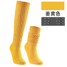 Load image into Gallery viewer, Hot selling color mid tube trendy pile socks AE4139