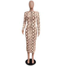 Load image into Gallery viewer, Printed zipper two-sided dress（AY1244）
