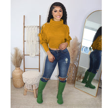 Load image into Gallery viewer, Pullover turtleneck sweater(AY2555)
