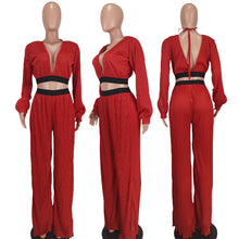 Load image into Gallery viewer, Sexy V-Neck Pleated Two-Piece Set（AY2406）
